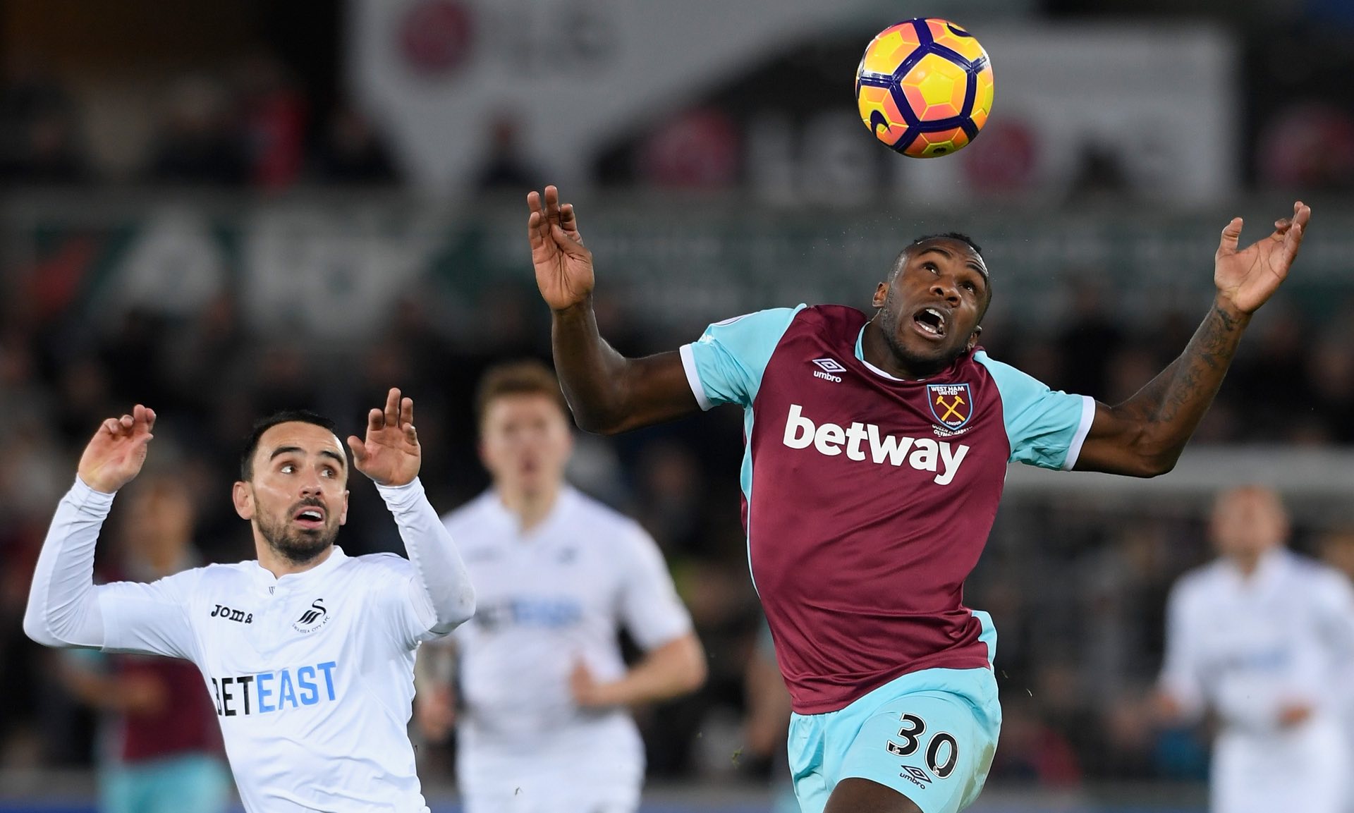 自行车上所 自行车上所